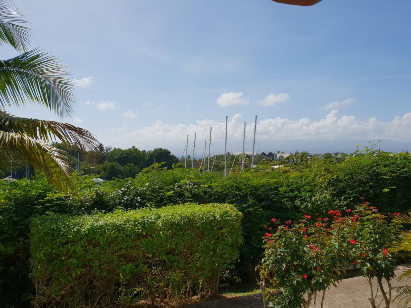 Ravissant Studio Marina Gosier Le Gosier (Grande-Terre) Exterior foto
